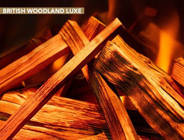 British Woodland DeLuxe Logs